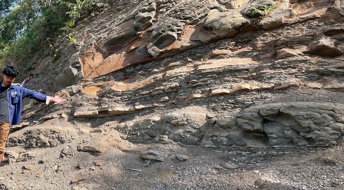 Sandstone–claystone interbeds exposed at outcrop scale