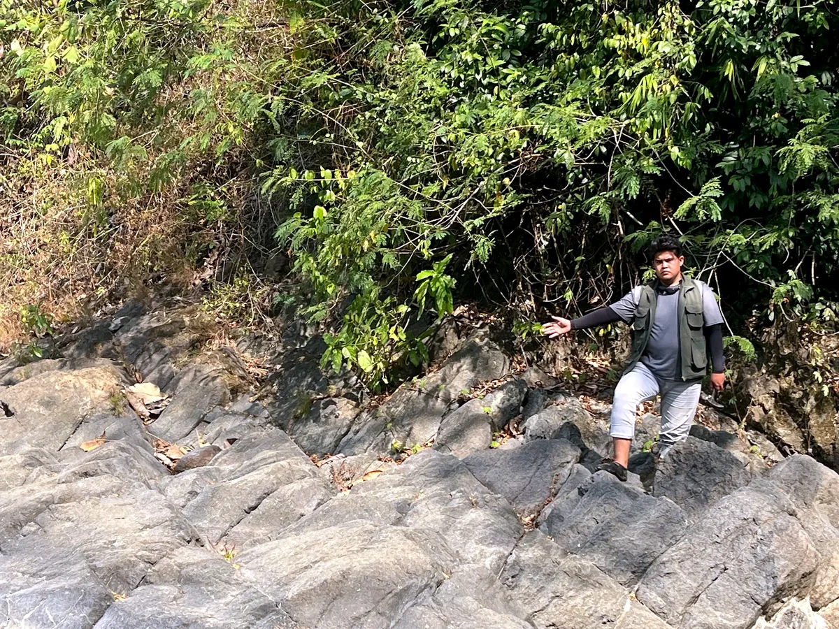 Brecciated rock within the Halang fault-damage zone
